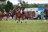UKPA NC SAT_2902